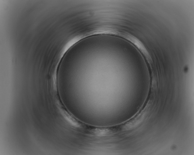 X0000101091242200807031719