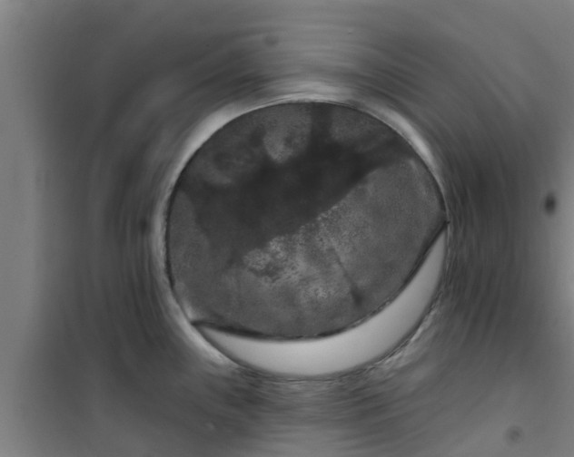 X0000101091243200807031719