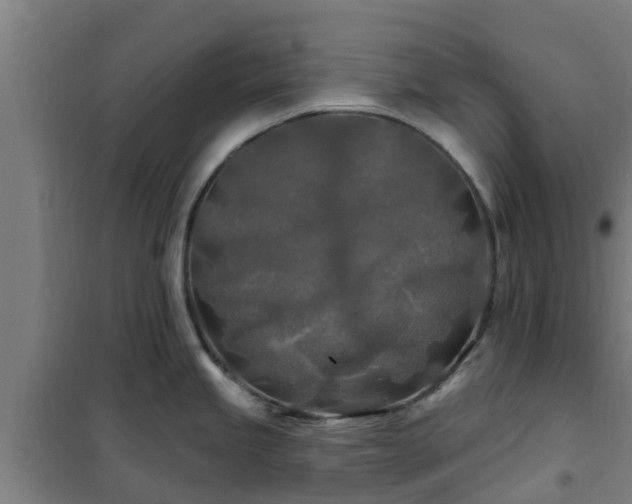 X0000101091245200807031719