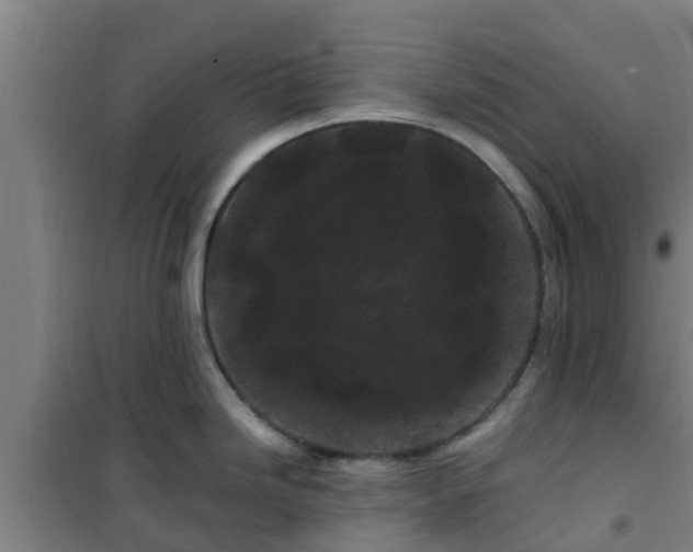 X0000101091246200807031719