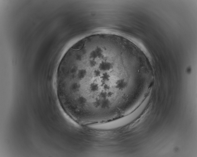 X0000101091247200807031719