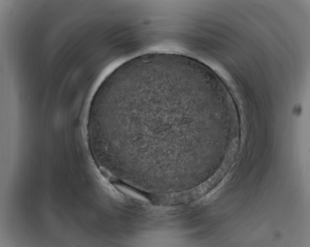 X0000101091248200807031719