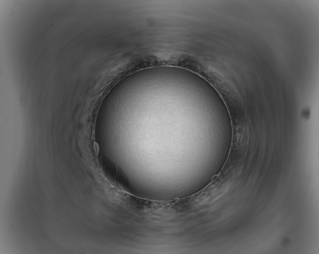 X0000101091249200807031718