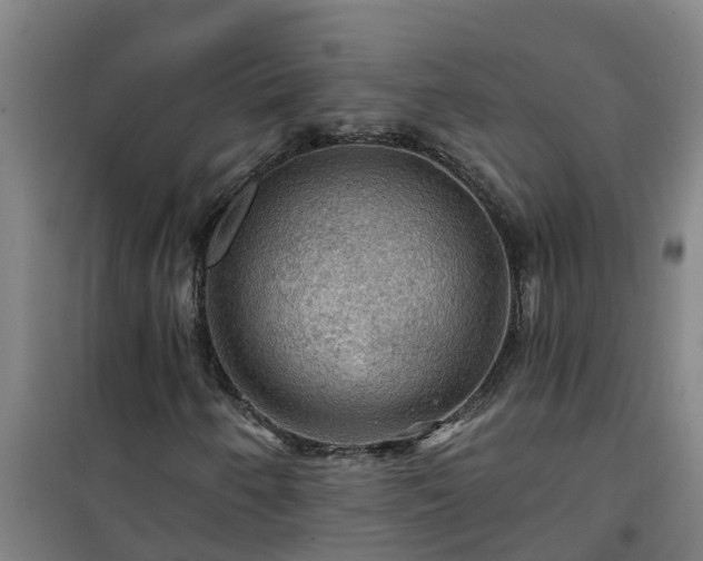 X0000101091250200807031718