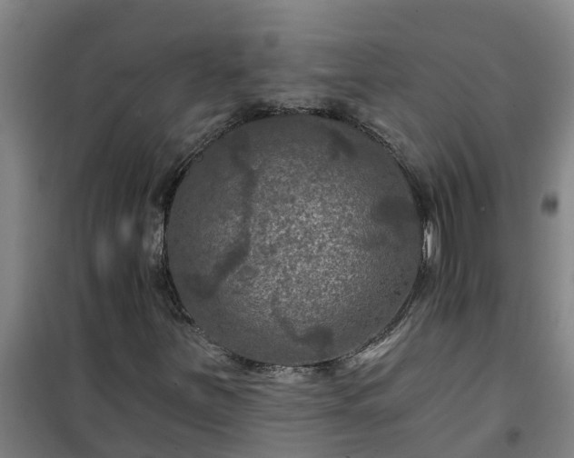 X0000101091251200807031718