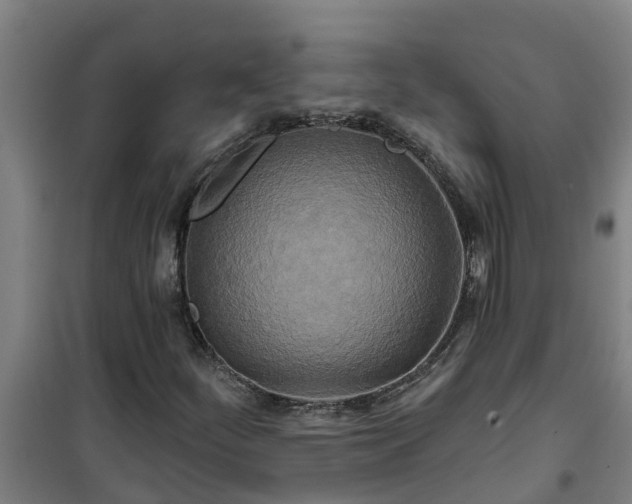 X0000101091252200807031718