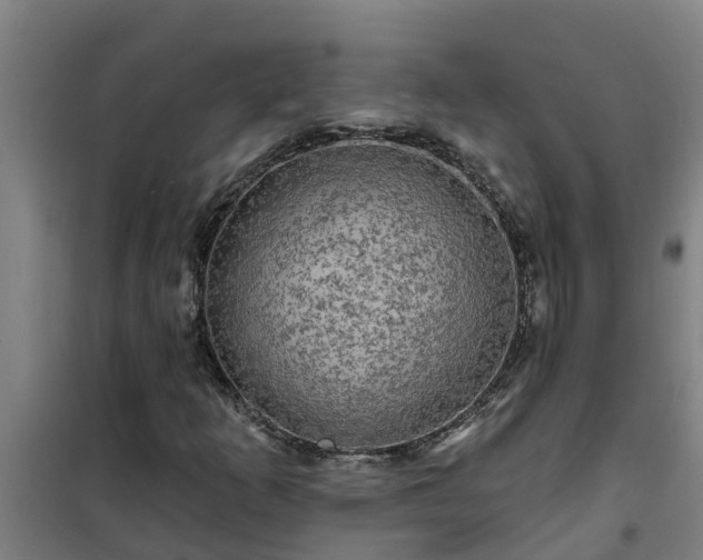 X0000101091253200807031718