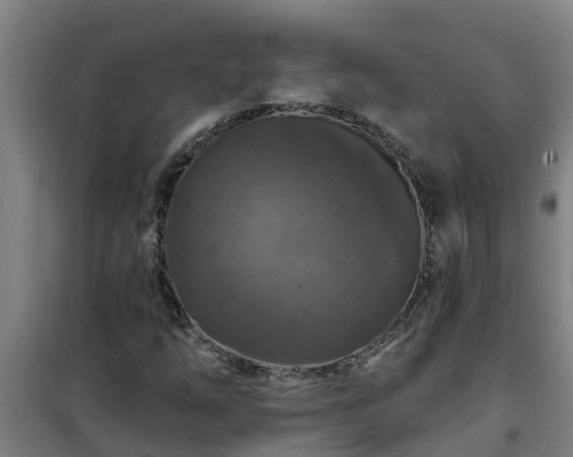 X0000101091254200807031718