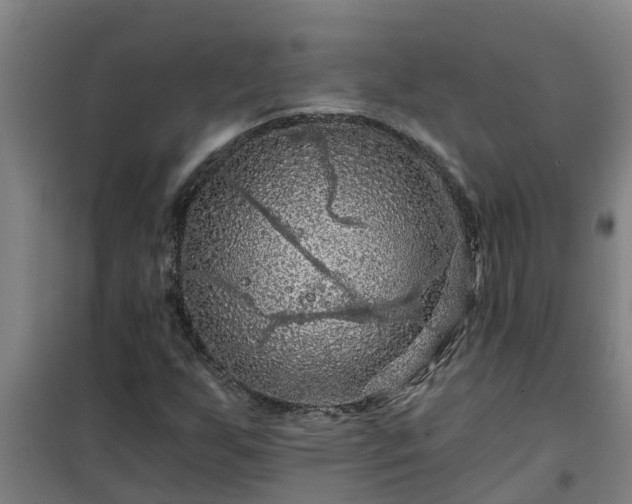 X0000101091255200807031718