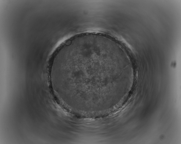 X0000101091256200807031718