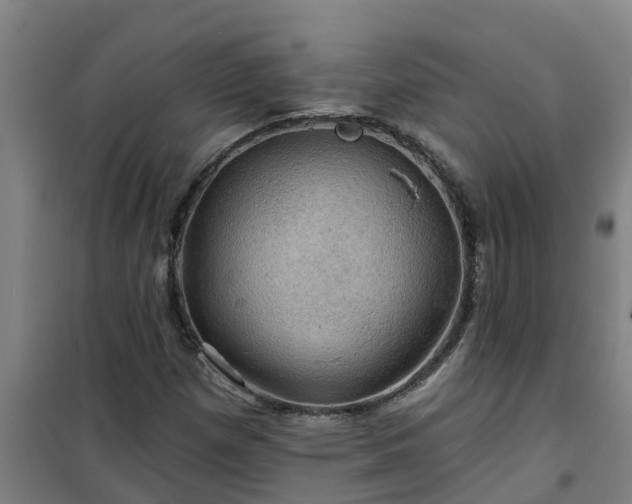 X0000101091257200807031718