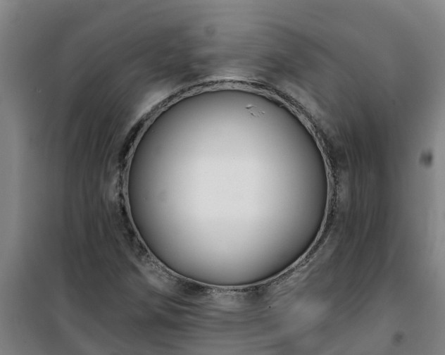 X0000101091258200807031718