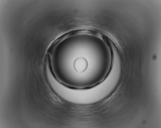 X0000101091260200807031718