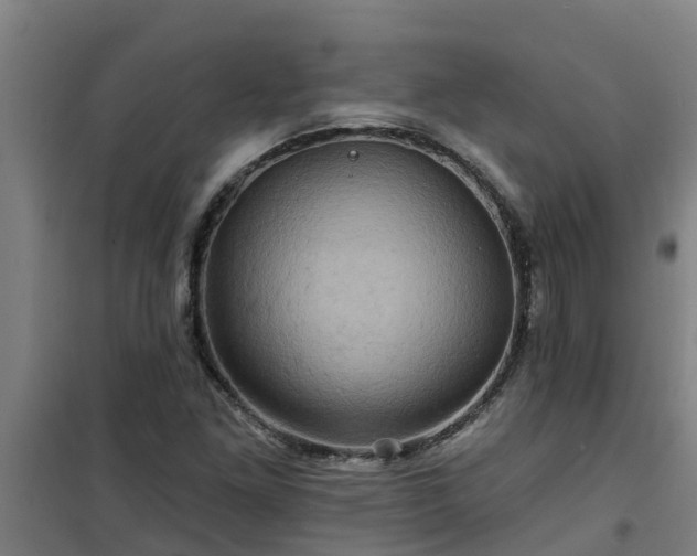 X0000101091261200807031718