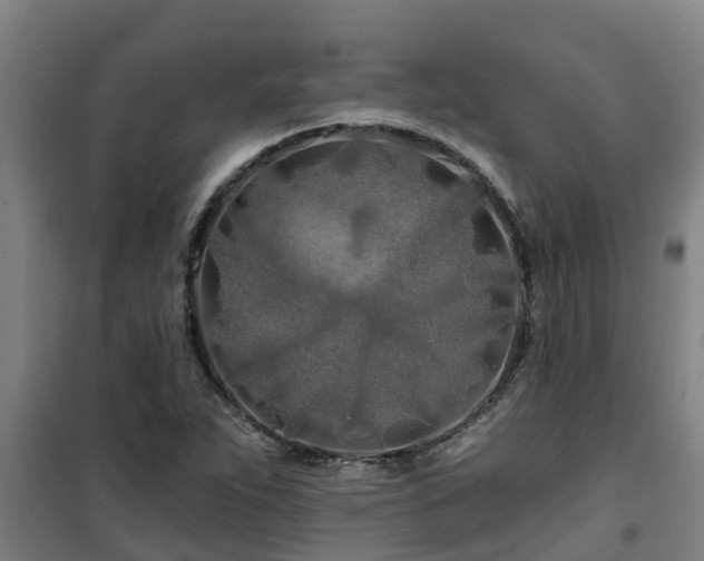 X0000101091263200807031718