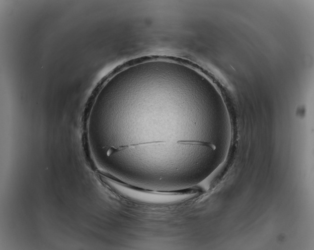 X0000101091264200807031718