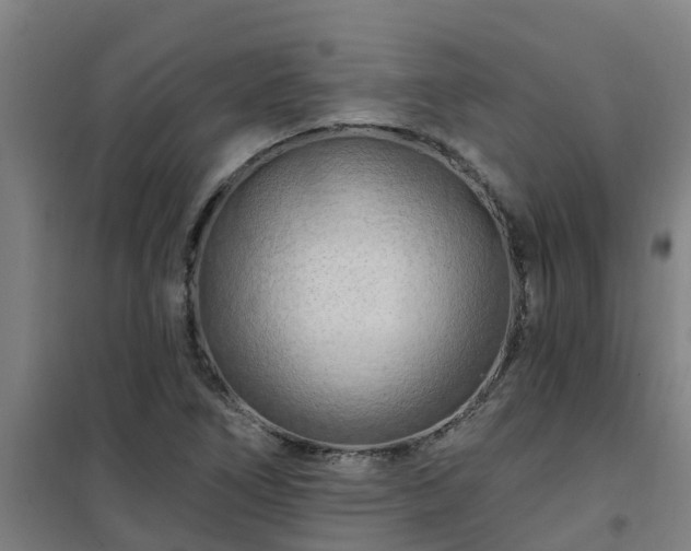 X0000101091266200807031718