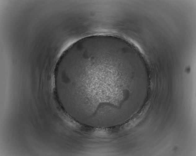 X0000101091267200807031718