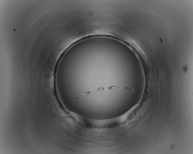 X0000101091268200807031718