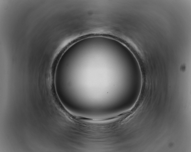 X0000101091270200807031718