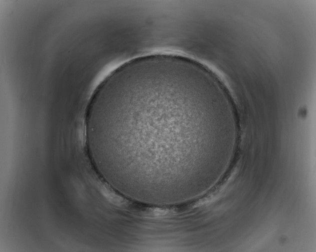 X0000101091271200807031718