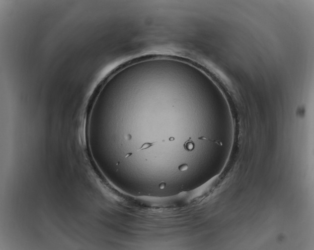 X0000101091272200807031718