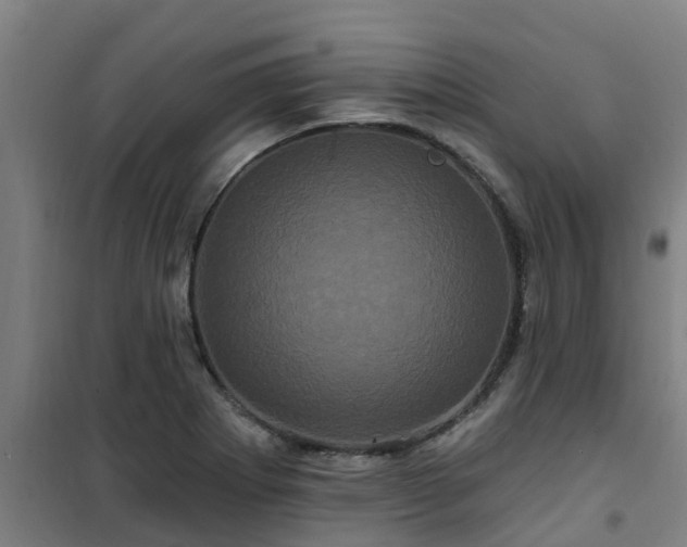 X0000101091273200807031718