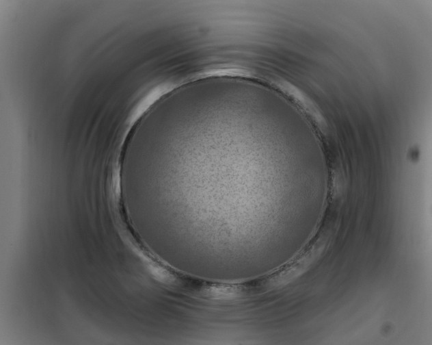 X0000101091274200807031718