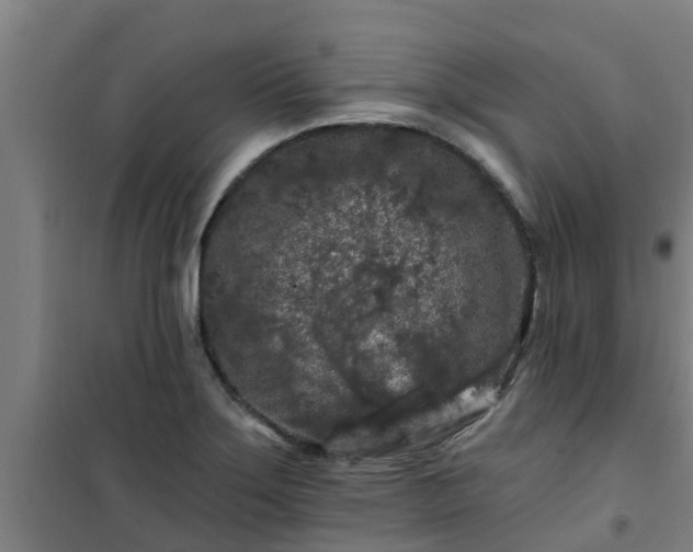 X0000101091275200807031718