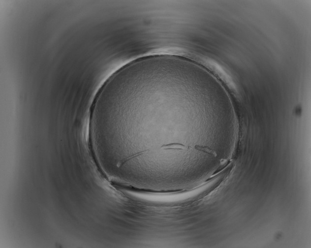 X0000101091276200807031718