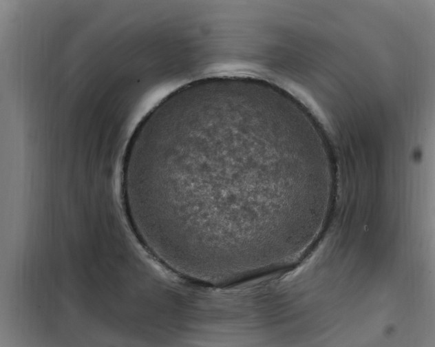 X0000101091277200807031718