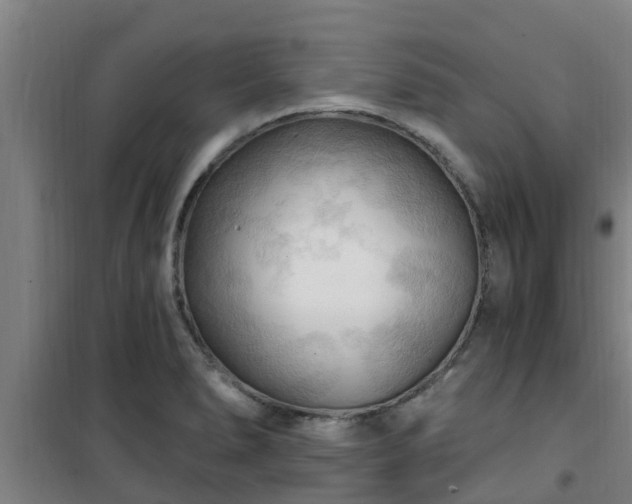 X0000101091278200807031718