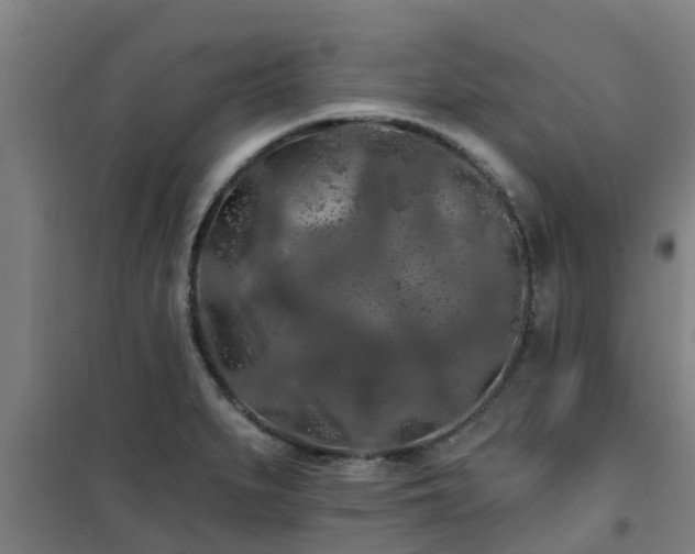 X0000101091279200807031718