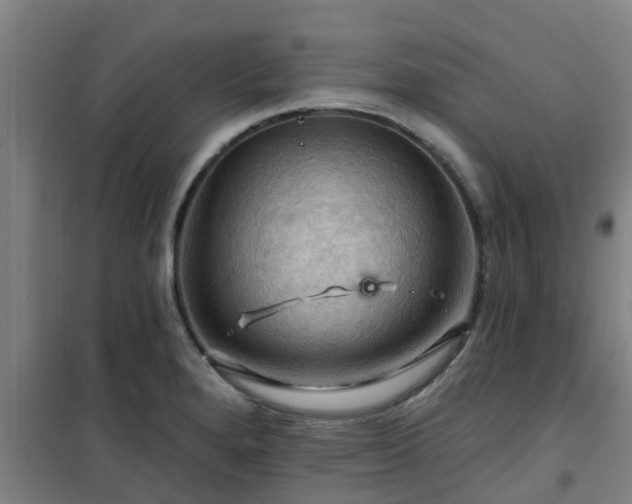 X0000101091280200807031718