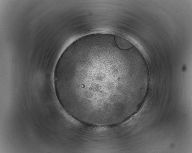 X0000101091283200807031718