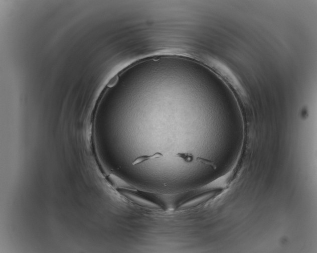 X0000101091284200807031718