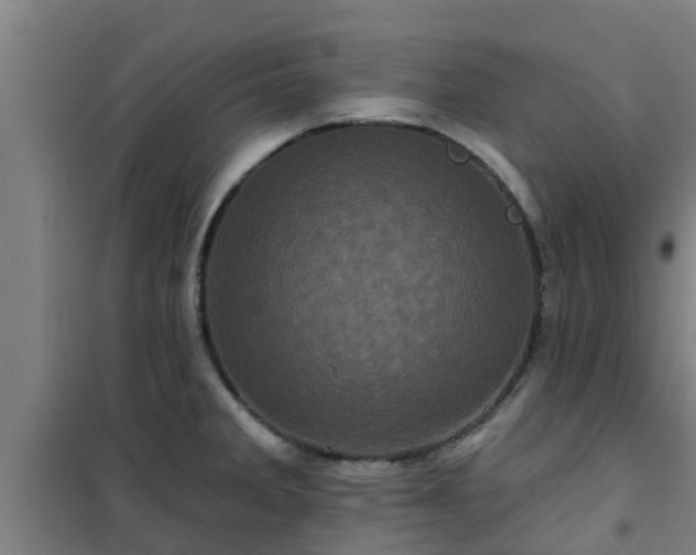 X0000101091285200807031718