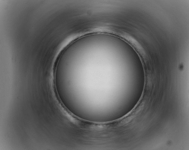 X0000101091286200807031718