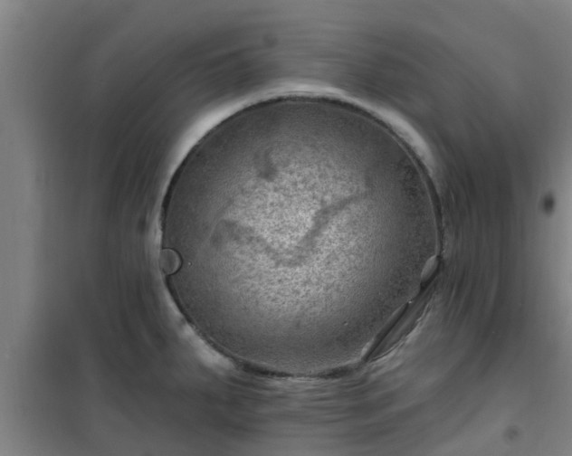 X0000101091287200807031718