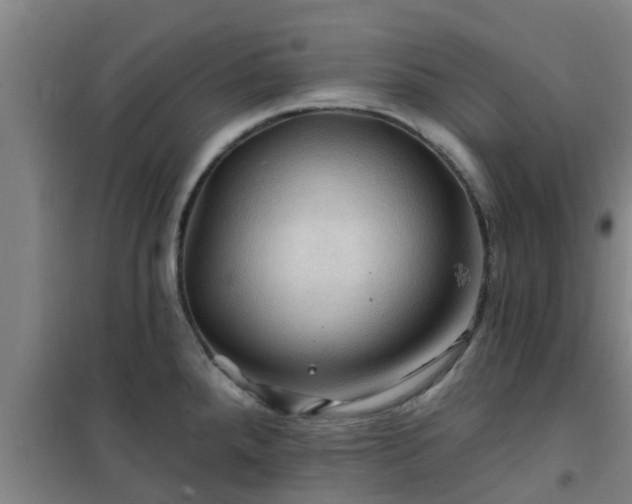 X0000101091288200807031718