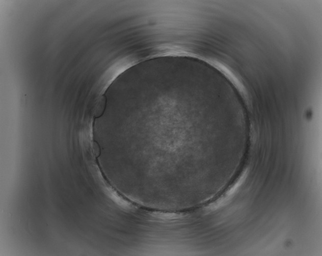 X0000101091289200807031718