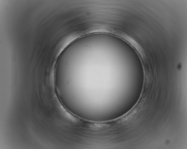 X0000101091290200807031717