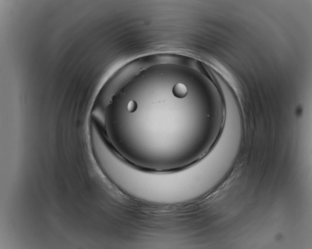 X0000101091291200807031717