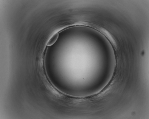 X0000101091292200807031717