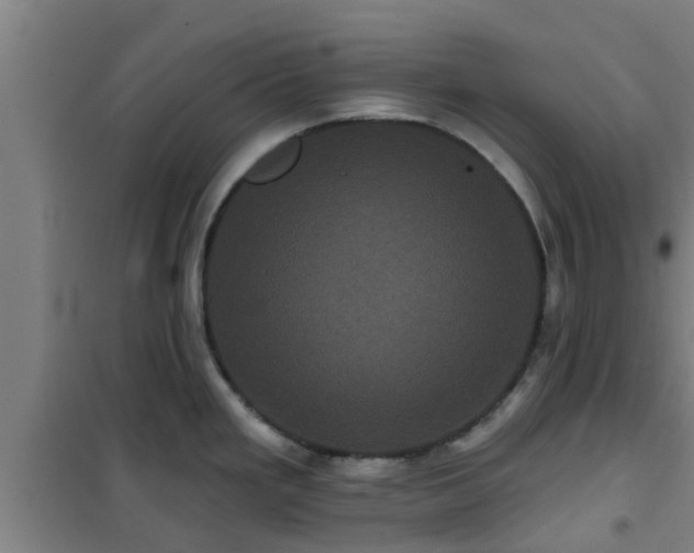 X0000101091293200807031717