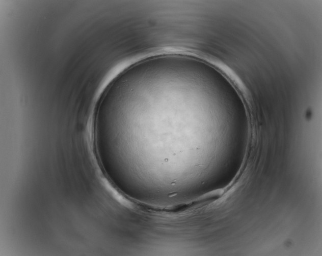 X0000101091294200807031717