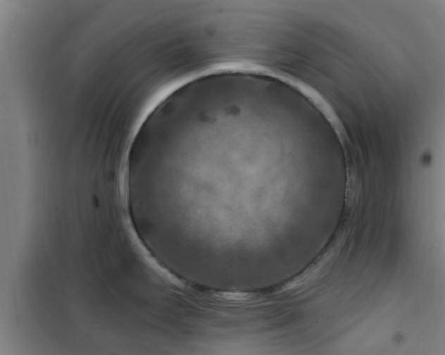 X0000101091295200807031717