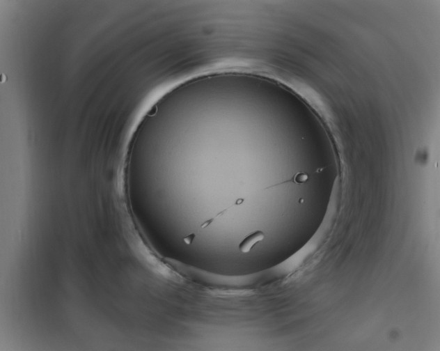 X0000101091296200807031717