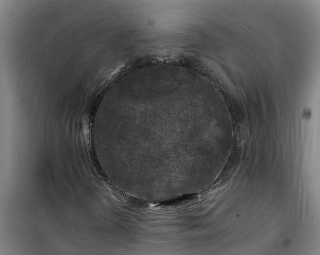 X0000101091298200807031717