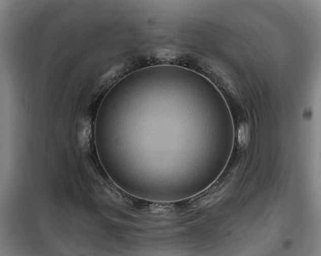 X0000101091299200807031717